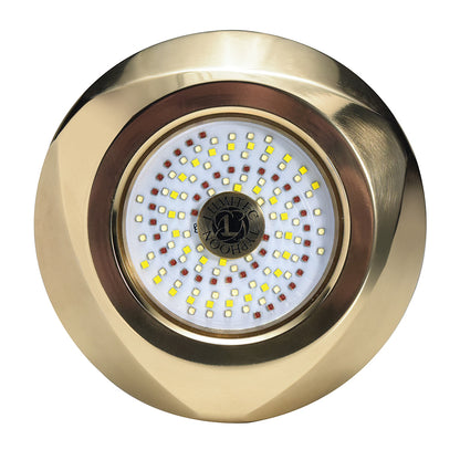 Lumitec SeaBlaze Typhoon Underwater Bronze Thru-Hull LED Light - White/Blue [101448]